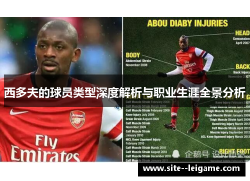 西多夫的球员类型深度解析与职业生涯全景分析 西多夫的球员类型深度解析与职业生涯全景分析