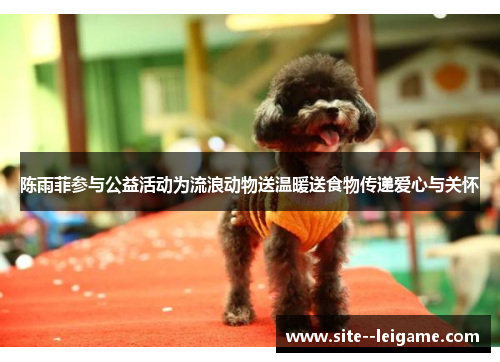 陈雨菲参与公益活动为流浪动物送温暖送食物传递爱心与关怀