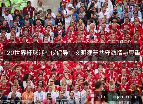 T20世界杯球迷礼仪倡导：文明观赛共守激情与尊重